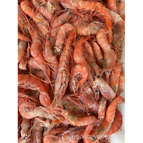 Langostino rojo de aguas profundas congeladas